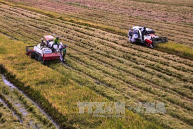 Festival quốc tế nông nghiệp vùng đồng bằng sông Cửu Long