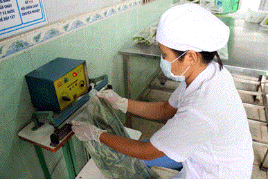 Đầu tư 538 tỷ đồng cơ giới hóa sản xuất nông nghiệp