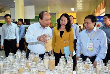 Thủ tướng Nguyễn Xuân Phúc: Sản xuất lúa gạo Việt Nam đang đứng trước giờ G của công cuộc đổi mới