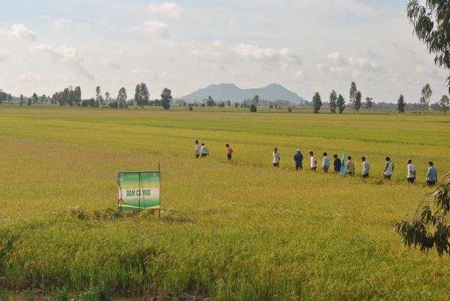 Bảo đảm phân bón cho sản xuất nông nghiệp năm 2013