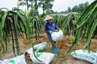 Tỉnh táo giữa “mê hồn trận” phân bón