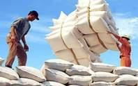 Xuất khẩu gạo: Tăng trưởng về giá trị và khối lượng