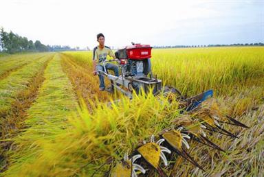 Vốn vẫn chưa chịu vào nông nghiệp