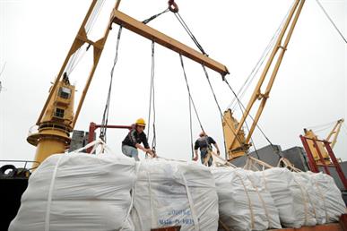 Nhiều hợp đồng, xuất khẩu gạo tăng mạnh