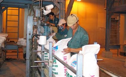 Cần áp thuế giá trị gia tăng với mặt hàng phân bón