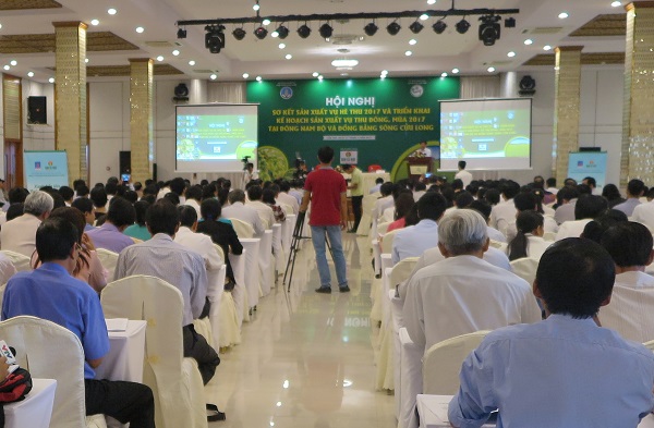 Đạm Cà Mau sát cánh cùng bà con vụ hè thu - thu đông 2017