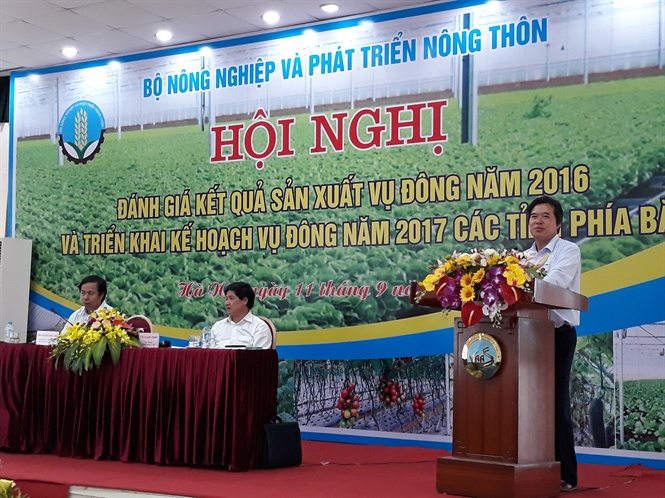 Vụ đông 2016 đạt giá trị 25.000 tỷ đồng
