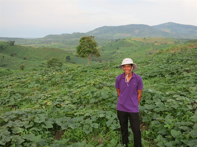 Nông dân Tây Nguyên trúng lớn bí đỏ Hai Mũi Tên Đỏ
