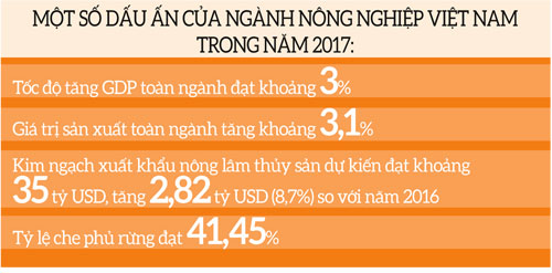 Nông nghiệp Việt Nam trỗi dậy ngạc nhiên sau thiên tai liên tiếp