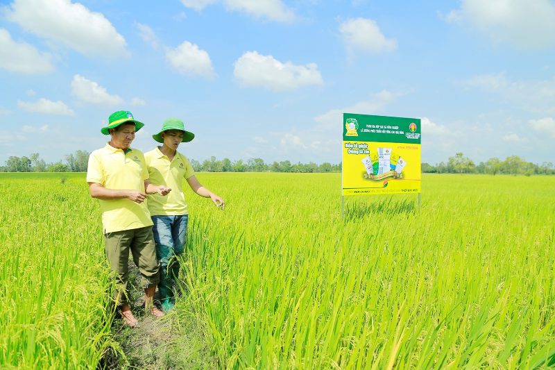 Đạm Cà Mau - 8 năm một chặng đường không ngừng sáng tạo để phát triển
