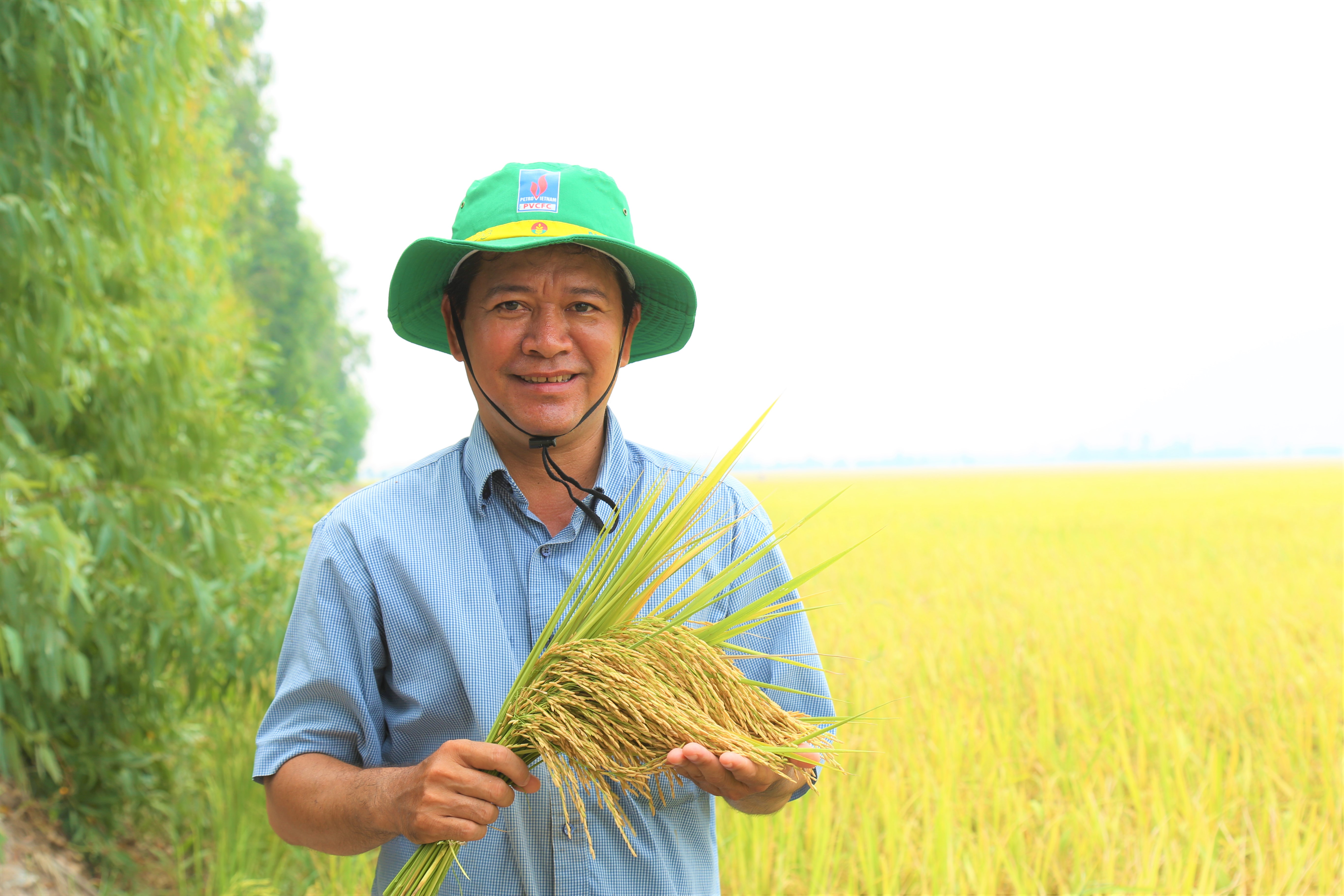 Bón ít nhưng hiệu quả - chỉ cần NPK Cà Mau là đủ