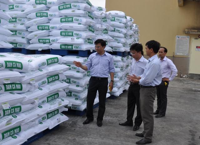 Đạm Cà Mau - Đã sẵn sàng cho vụ Đông Xuân 2013