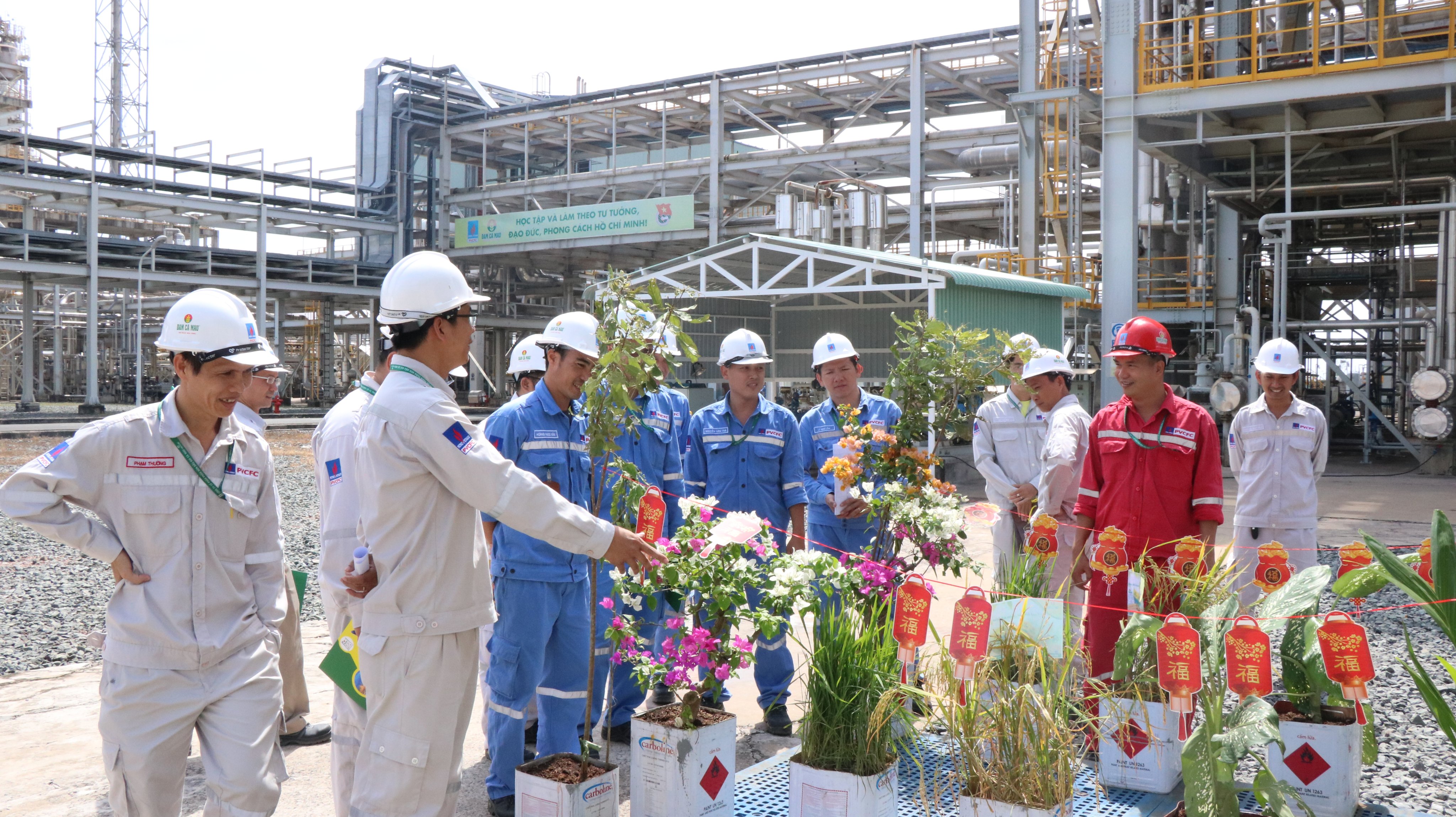 TẾT ẤM TÌNH TRONG KHU NHÀ Ở ĐẠM CÀ MAU