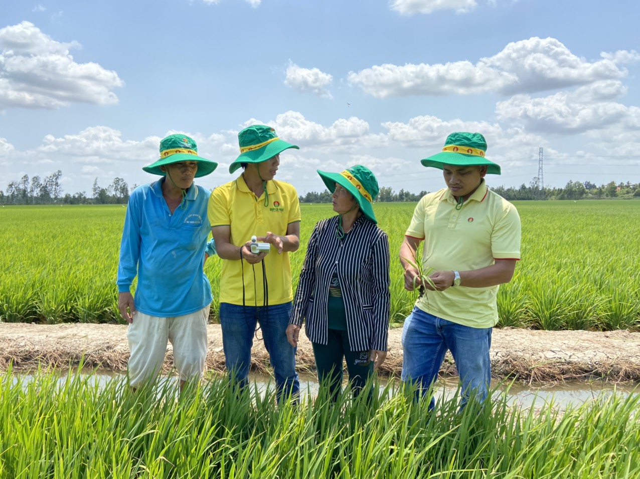 Đạm Cà Mau đồng hành cùng nhà nông vụ Hè Thu 2020