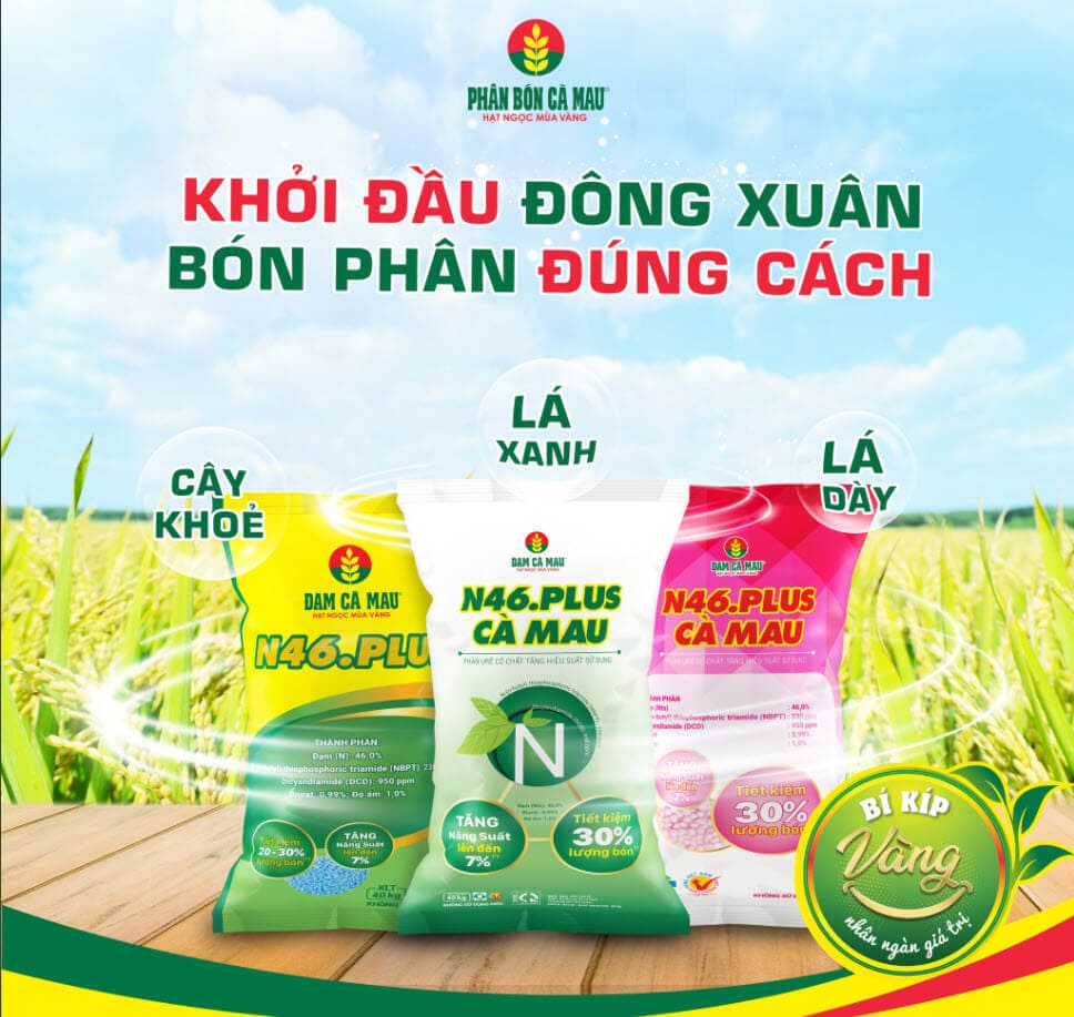 Hiệu quả bất ngờ của N46.Plus từ chia sẻ của người nông dân