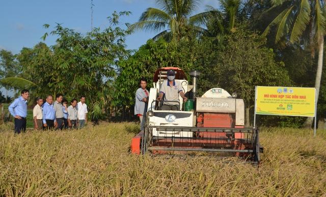 Đạm Cà Mau đồng hành cùng nông dân trong mô hình Cánh đồng lớn tại Cà Mau
