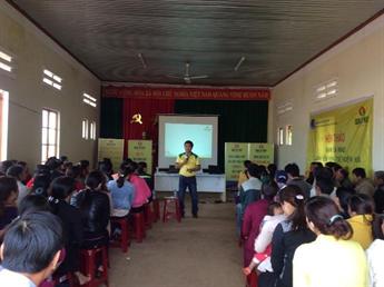 Đạm Cà Mau hướng dẫn kỹ thuật bón phân cho cây tiêu và cây cafe