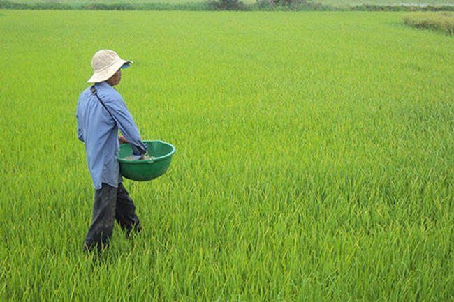 Giá phân bón mới nhất 23/10/2021:Giá phân NPK tăng mạnh ở khu vực Tây Nguyên