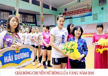 Đạm Cà Mau đồng hành với giải bóng chuyền Bông Lúa Vàng Thái Bình năm 2016