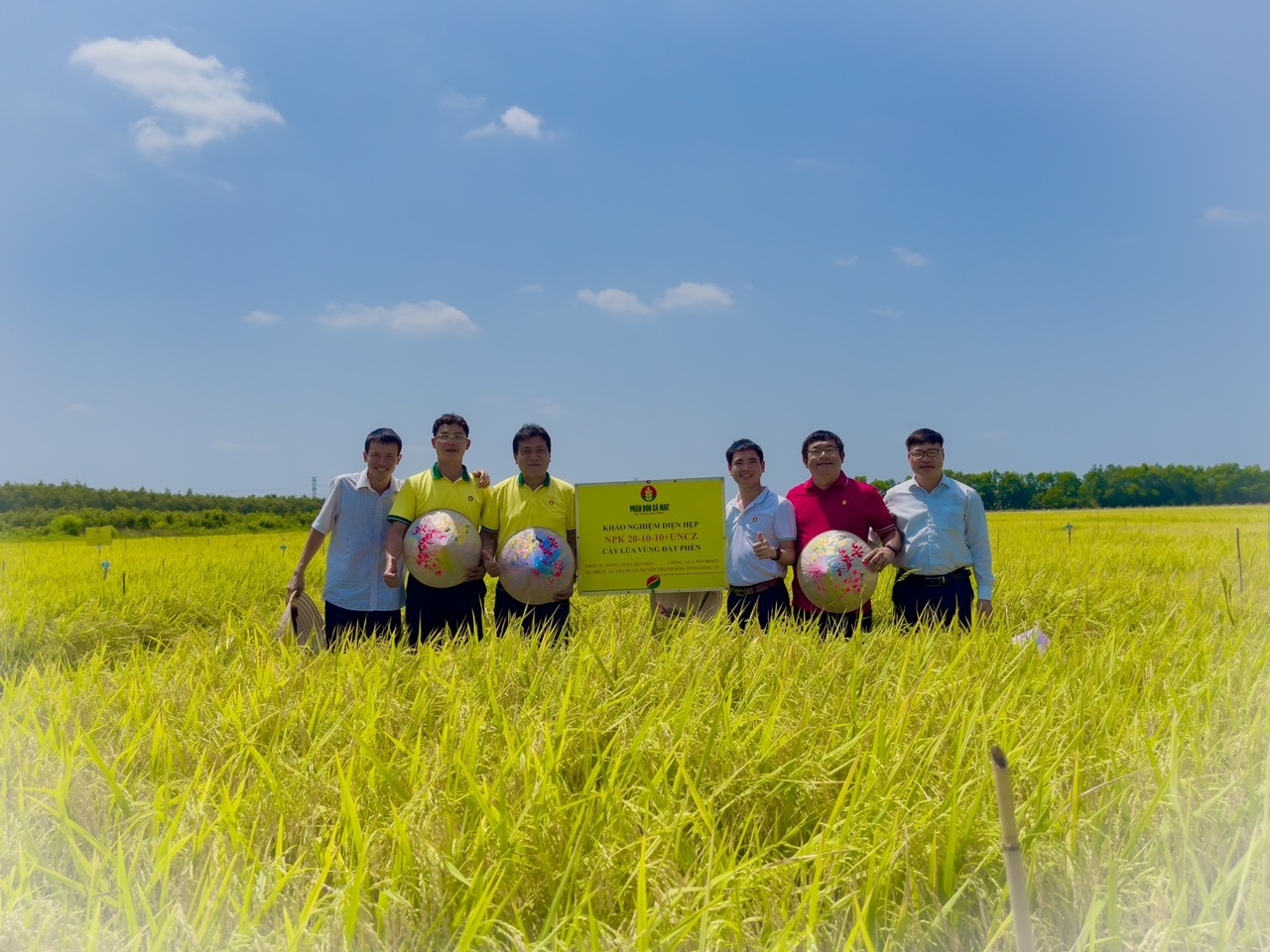 Nghiên Cứu Và Áp Dụng Giải Pháp Canh Tác Trên Vùng Đất Phèn Thạnh Hóa - Long An: Hướng Đến Nông Nghiệp Bền Vững