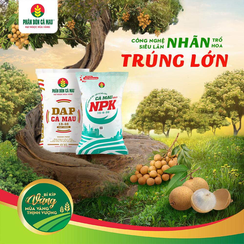 Công Nghệ Siêu Lân: Nhãn Trổ Hoa – Trúng Lớn