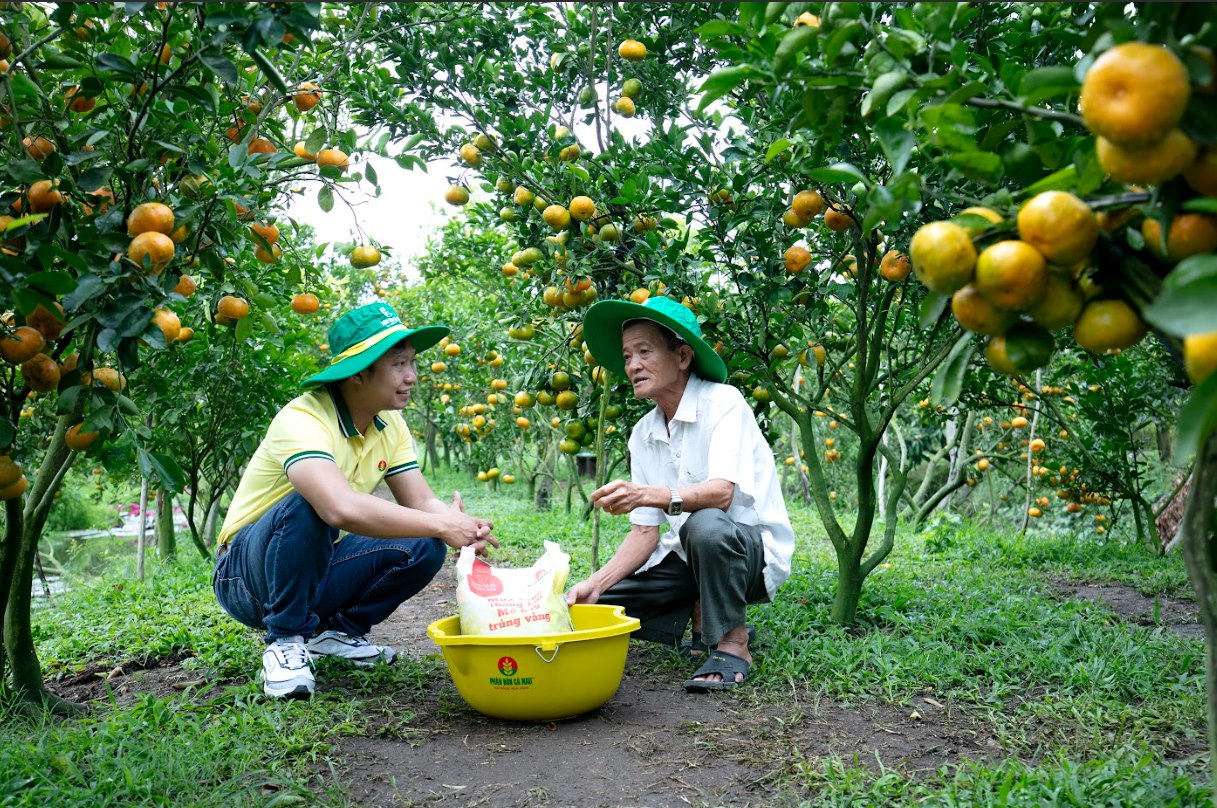 Phát Thải Khí Nhà Kính: Tầm Nhìn, Cơ Hội Và Thách Thức Đối Với PVCFC