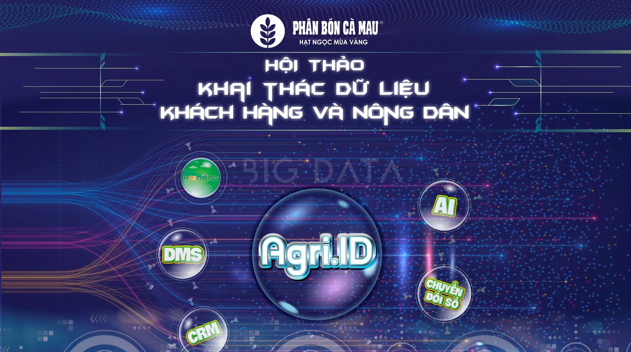 Phân Bón Cà Mau Tăng Cường Khai Thác Dữ Liệu Nâng Cao Hiệu Quả Kinh Doanh