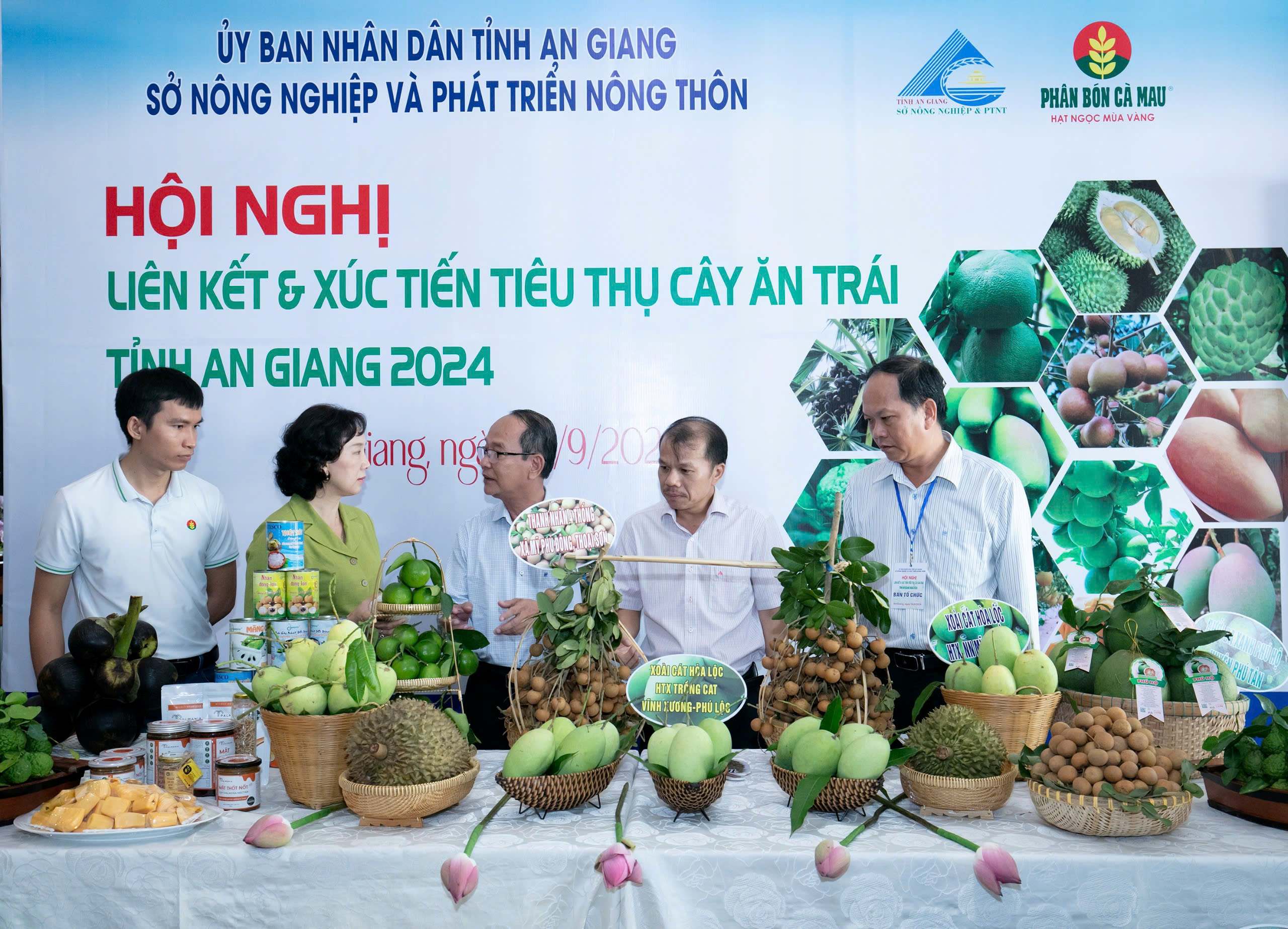 Phân Bón Cà Mau Đồng Hành Cùng Nông Dân An Giang Nâng Cao Giá Trị Cây Ăn Trái