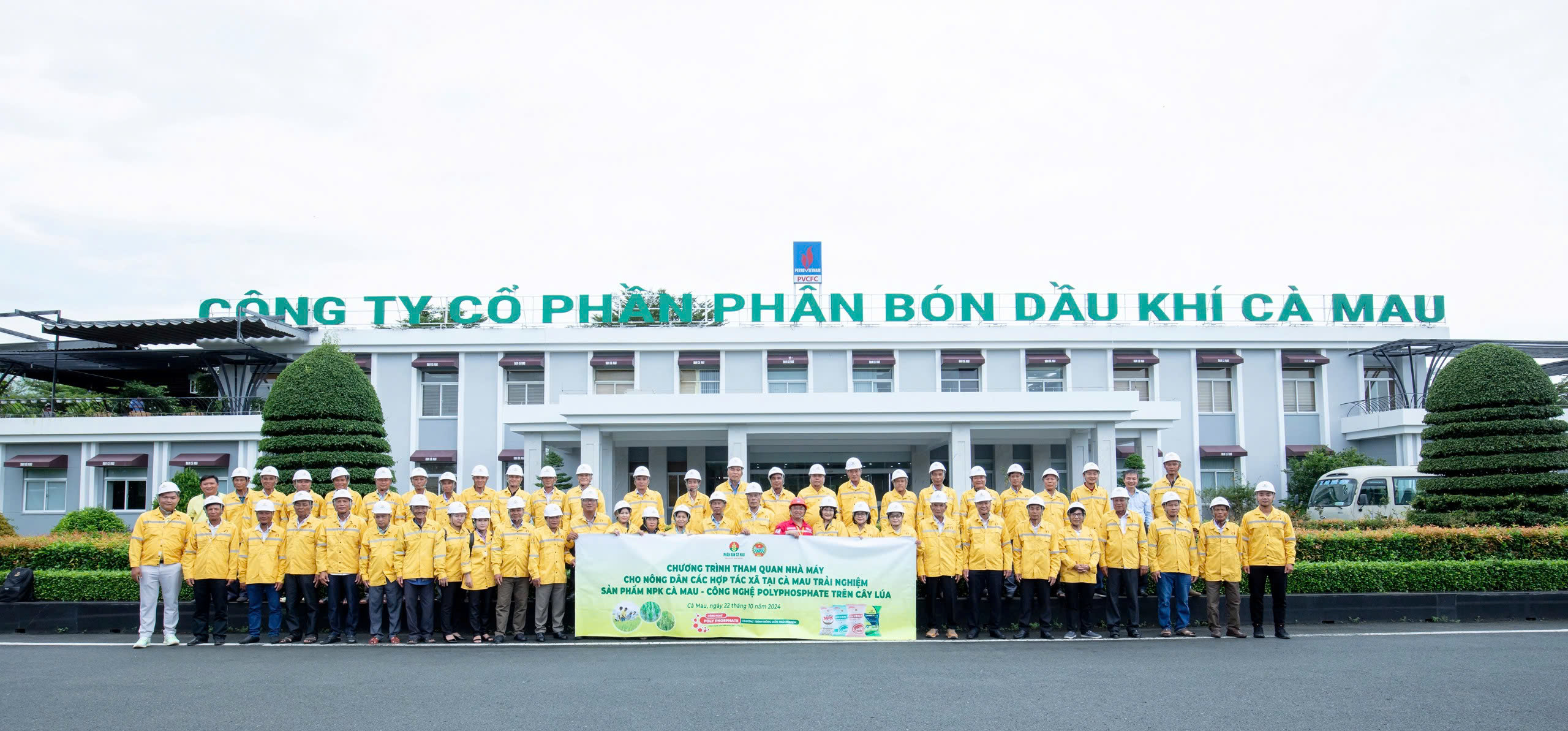 Hiệu Quả Từ Mô Hình Trải Nghiệm NPK Cà Mau Của Nông Dân