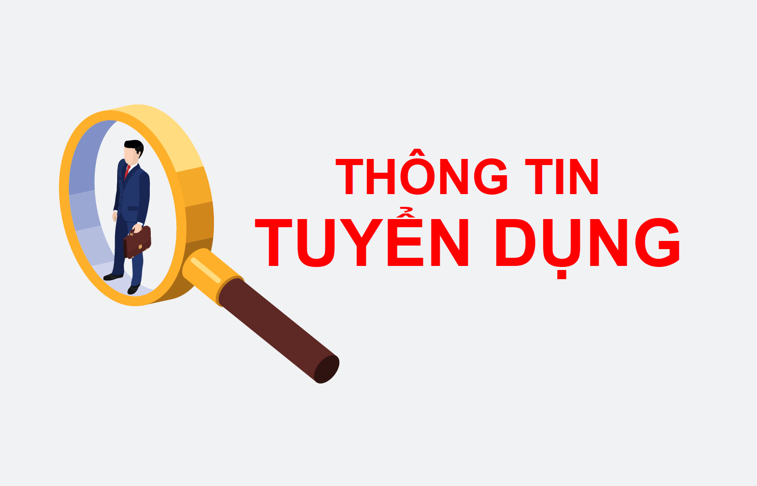 Thông báo tuyển dụng IT: Chuyên viên mạng - Phân bón Cà Mau